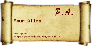 Paur Alina névjegykártya